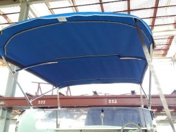 бимини-топ (2)